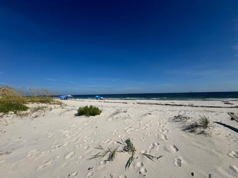 Sandy Crax 8 Bedroom Private Pool Sleeps 26 House in Alabama