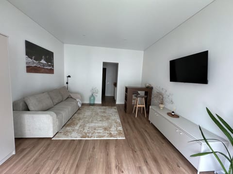 Šaulių studio Apartment in Klaipėda