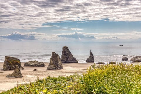 Beach Loop Condo #2 - South Unit Apartment in Oregon