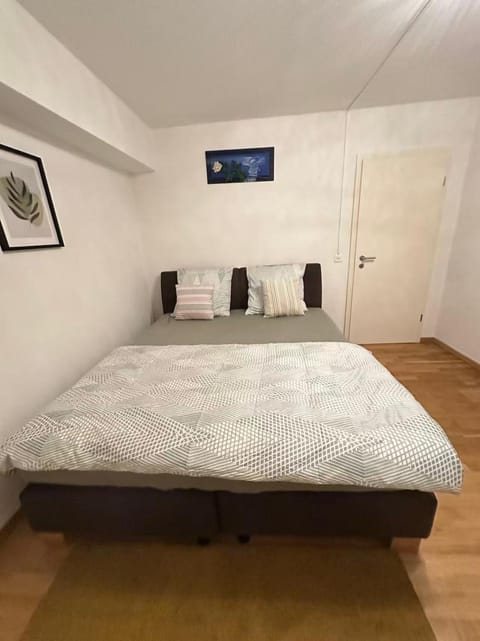 Stilvolle 2-Zimmer-Wohnung in zentraler Lage Apartment in Schaffhausen