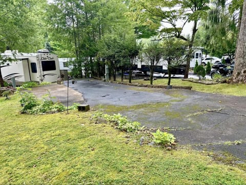 Day, Natural landscape, Garden