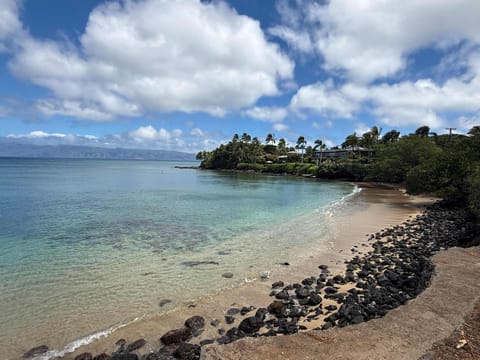 Beachfront B&B w Free Breakfast, AC & Sunset View Bed and Breakfast in Kapalua