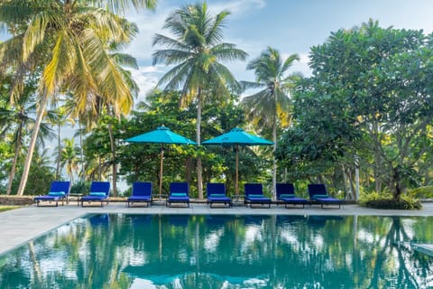 Day, Pool view, Swimming pool, sunbed