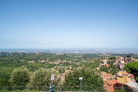 Day, Natural landscape, Bird's eye view, City view