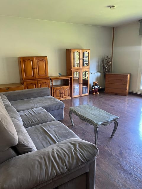 El Balcón de Vielha Apartment in Madrid