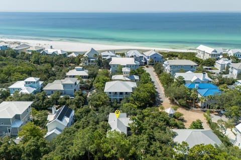 Heart of Palms House in South Walton County