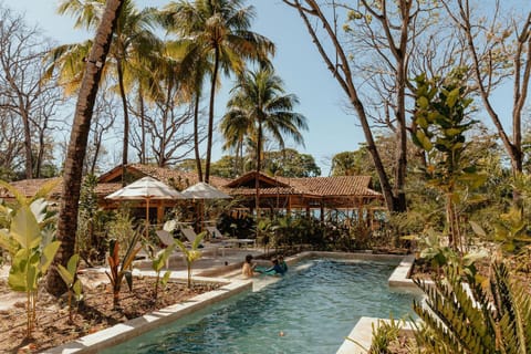 Day, Garden view, Pool view, Swimming pool, sunbed