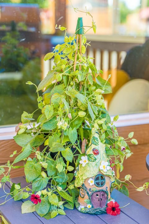 Rainforest Tiny Home Retreat Enchanted House in Forks