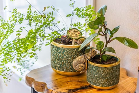 Rainforest Tiny Home Retreat Enchanted House in Forks