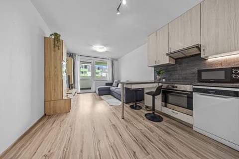 Living room, kitchen
