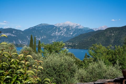 Lake view
