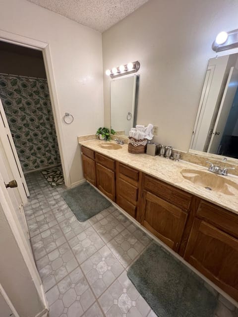 Arlington Townhouse 2 CarGarage House in Arlington