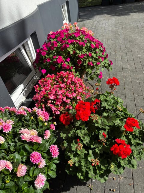 Gästehaus Apartment in Kiel