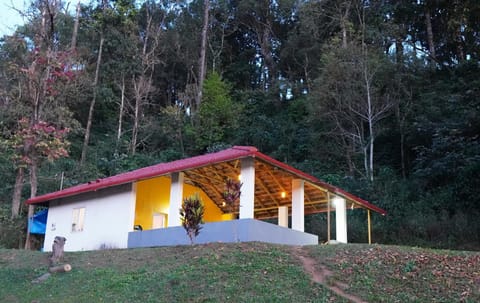 Property building, Natural landscape, Garden