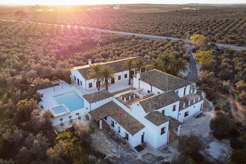 Property building, Day, Natural landscape, Bird's eye view, Swimming pool