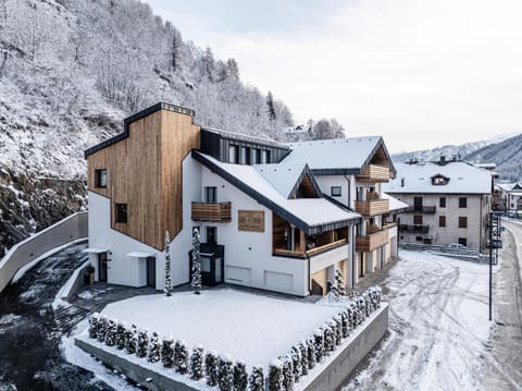 El Giof Alpine Home Apartment in Pellizzano