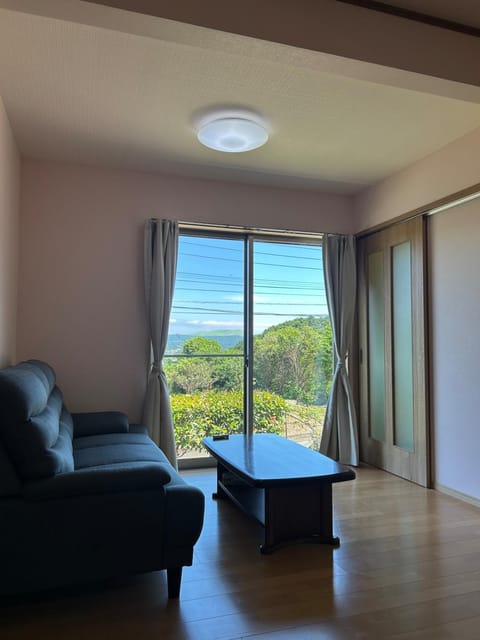 Living room, Mountain view