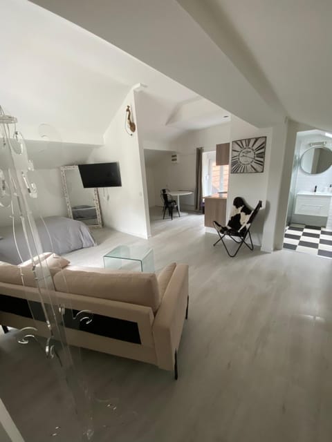 Sacha Apartment in Vosges