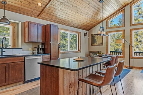 Forest View Cabin Near Breck and Keystone Cabin in Park County