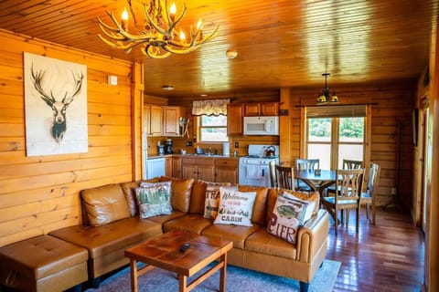 Cabin Otisco Lake Views Fire Pit & Pool Table Cabin in Finger Lakes