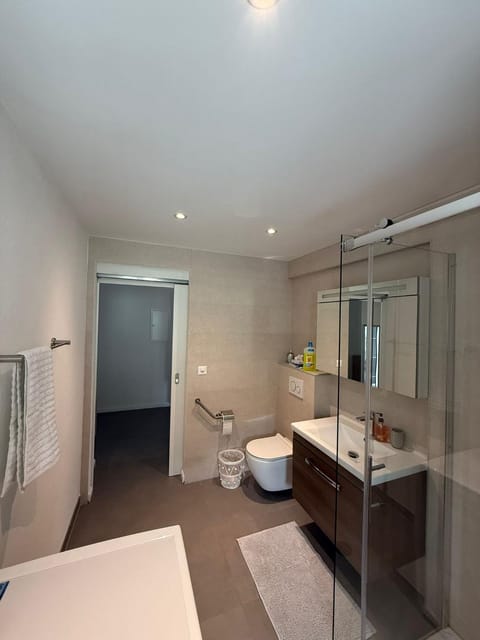 Ramo Apartment in Sion