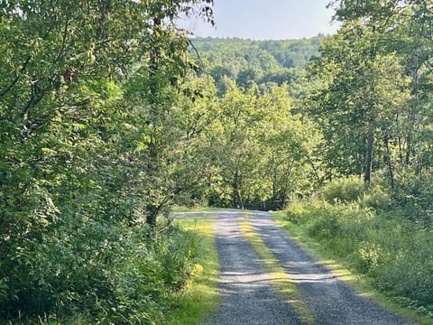 Perfect Vermont Battenkill Log Cabin Cabin in Arlington