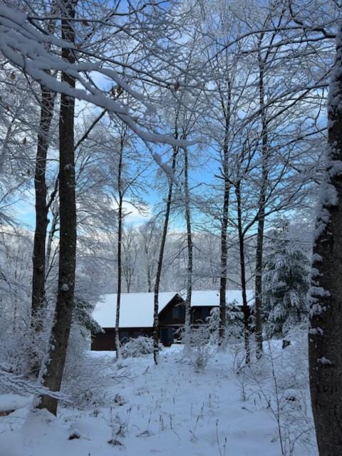 Perfect Vermont Battenkill Log Cabin Cabin in Arlington