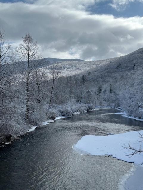 Perfect Vermont Battenkill Log Cabin Cabin in Arlington