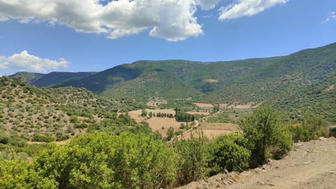 Natural landscape