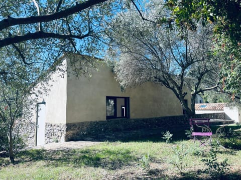 Property building, Garden view