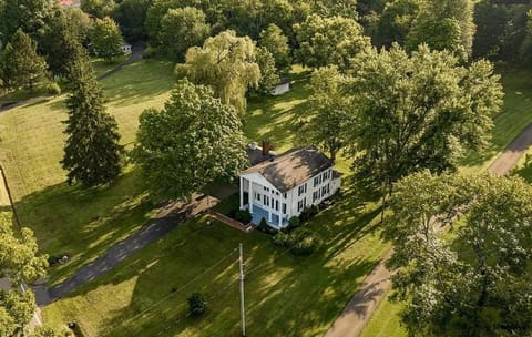 Day, Natural landscape, Garden, Garden view