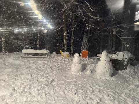 The Perch House in Colorado