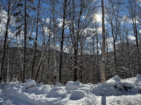 The Perch House in Colorado