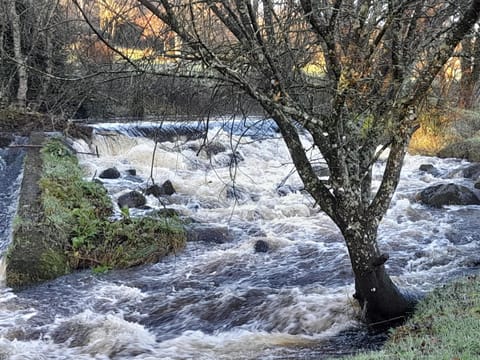 St Moling's Well House,off grid,and Gardens House in County Kilkenny