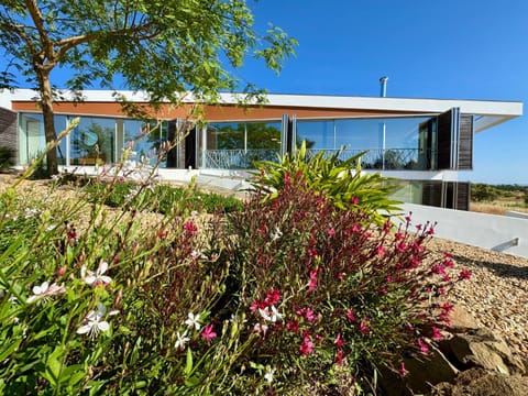 Property building, Day, Garden view