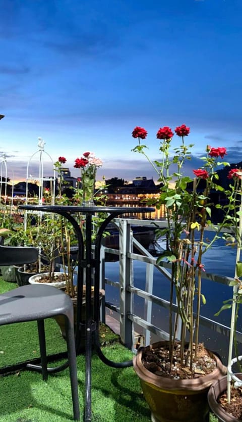 Natural landscape, Garden, Garden view, River view