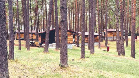 Property building, Spring, Day, Natural landscape