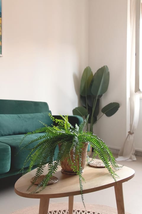 Tucano Mediceo Home Apartment in Pisa