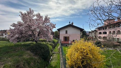 Property building, Spring, Day, Natural landscape, Garden, Garden view