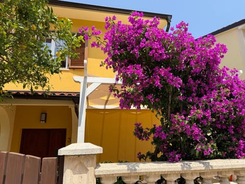 Spring, Day, Garden, Garden view