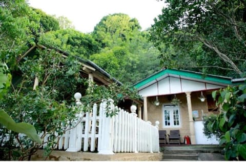 Property building, Garden view
