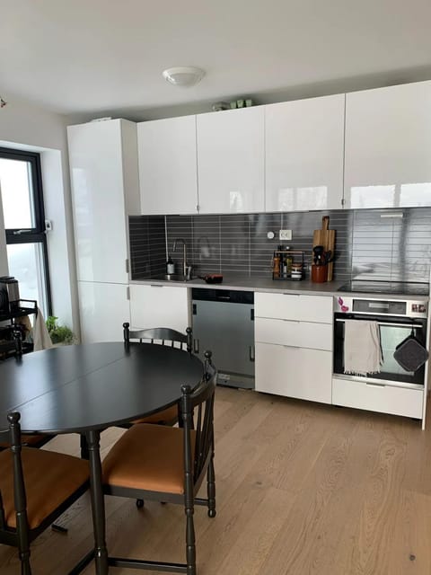 Kitchen or kitchenette, dishwasher, oven, stove