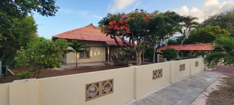 Property building, Garden, Garden view