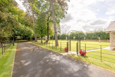 Natural landscape, Garden, Garden view