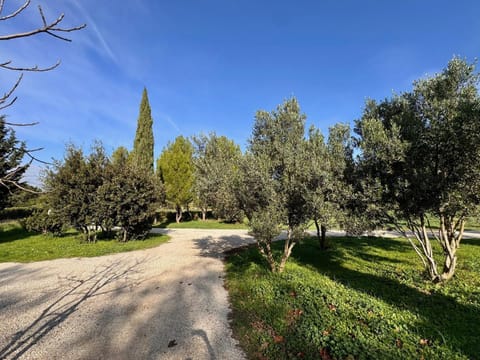 Mas d Anissa House in Avignon