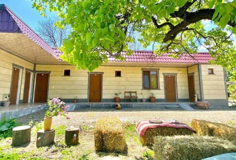 Facade/entrance, Garden