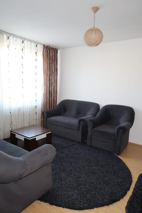 Apartment Centrul Vechi Apartment in Craiova