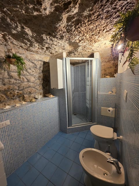 Shower, Toilet, Bathroom, bidet