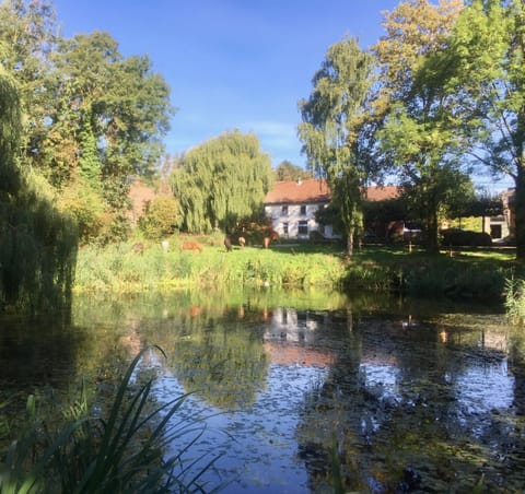 Lake view