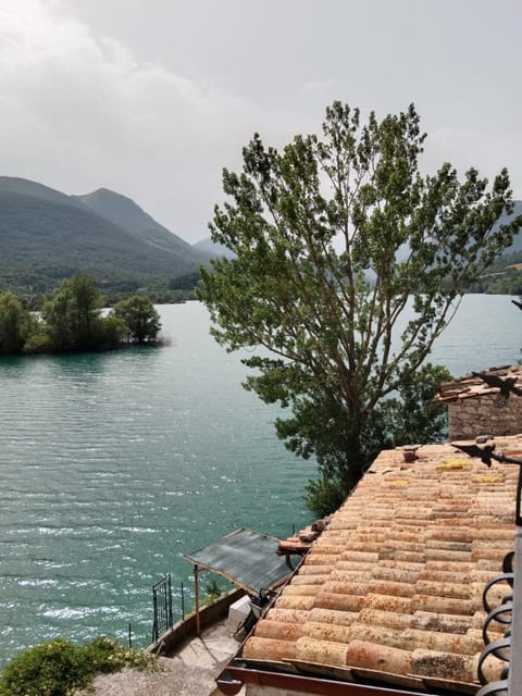 Lake view
